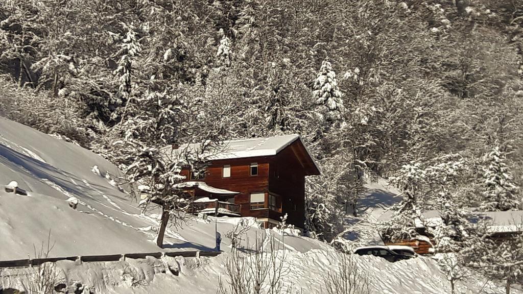 Апартаменти Haus Inge Санкт-Галленкірх Екстер'єр фото
